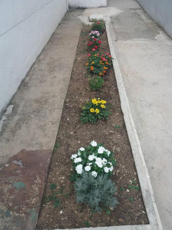 סוטומורה Apartments Radulovic מראה חיצוני תמונה